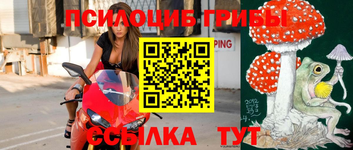Ярцево  Галлюциногенные грибы MAGIC MUSHROOMS  Вход с VPN 